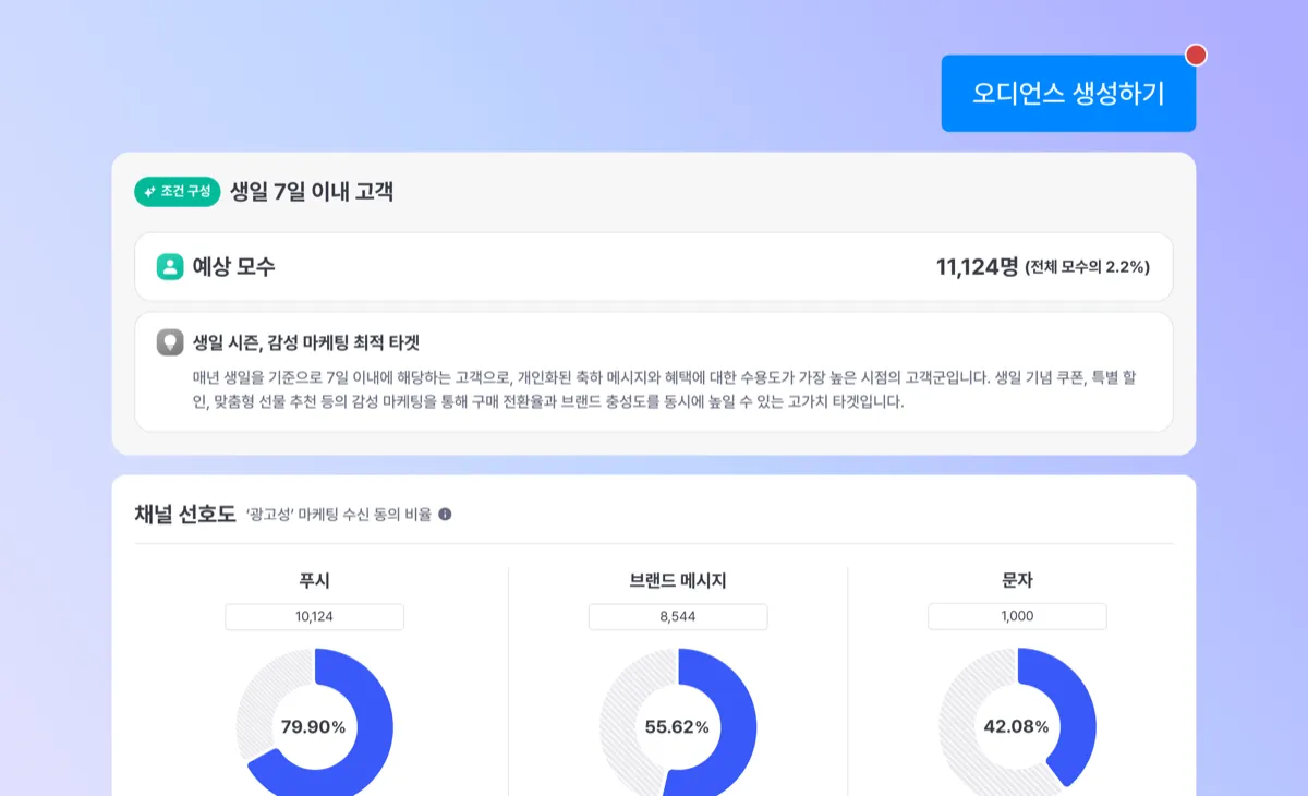 채널 별 메세지 전략 제안